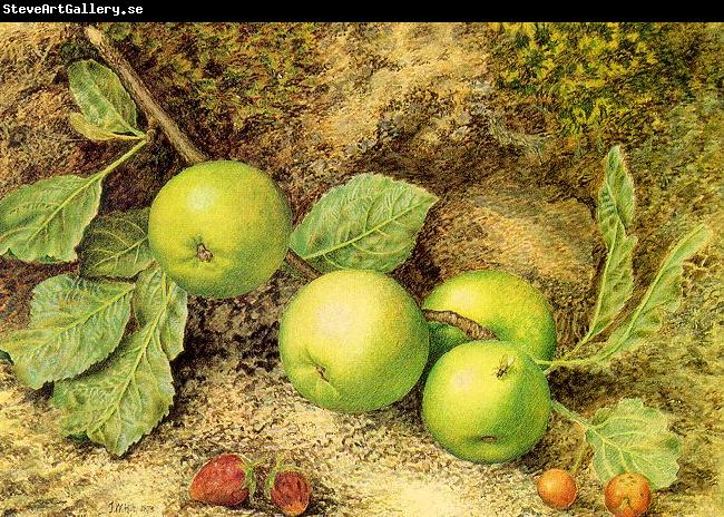 Hill, John William Still Life with Fruit and Fly